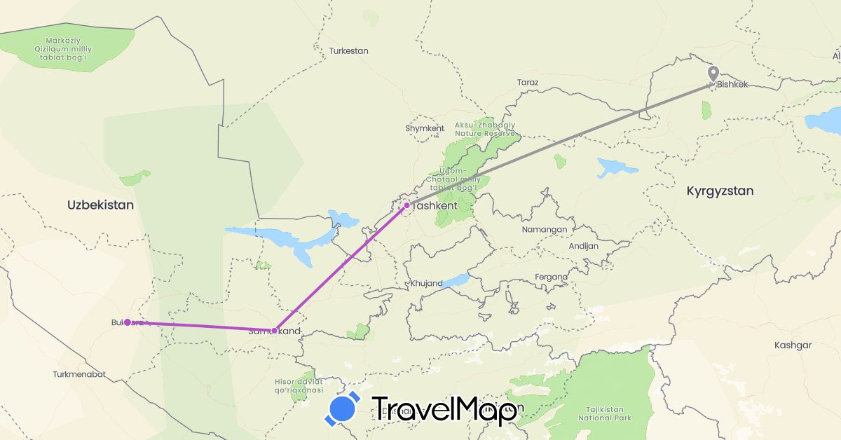 TravelMap itinerary: driving, plane, train in Kyrgyzstan, Uzbekistan (Asia)